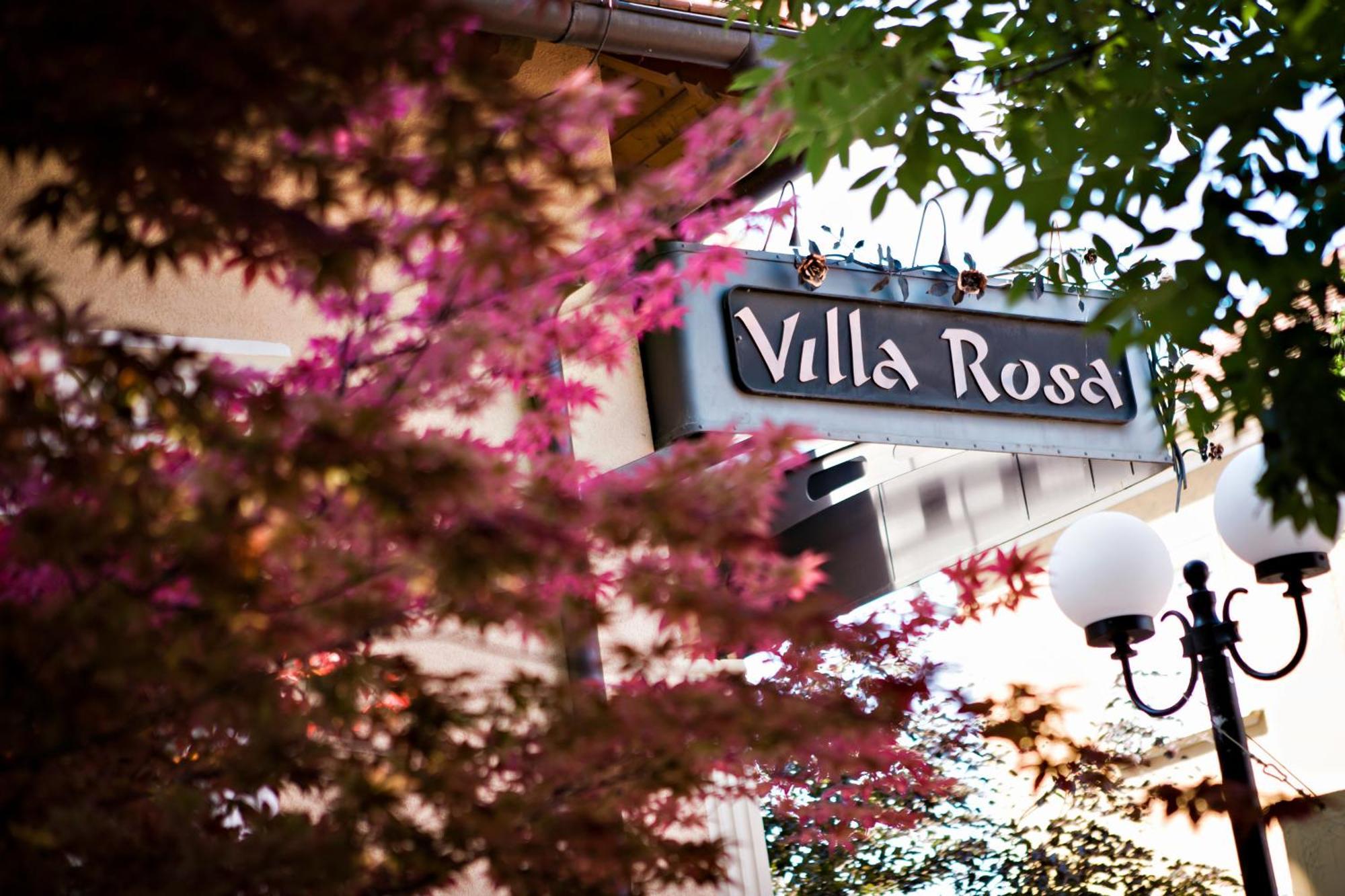 Villa Rosa Дунайска-Стреда Экстерьер фото