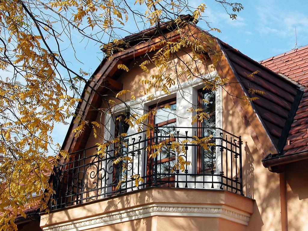 Villa Rosa Дунайска-Стреда Экстерьер фото